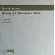 David James – (Always) A Permanent State