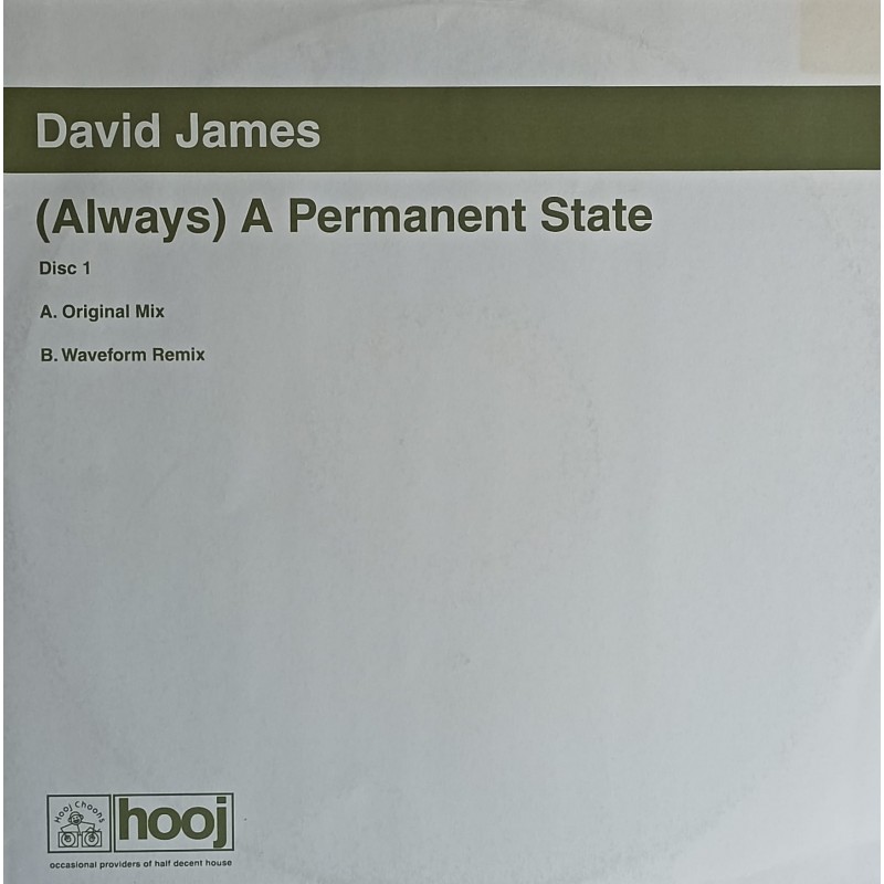 David James – (Always) A Permanent State
