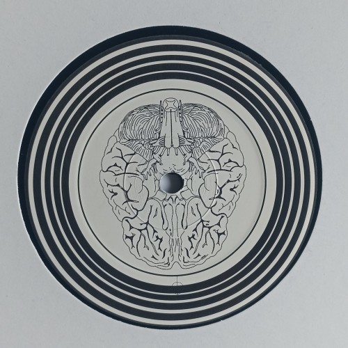 Head First – Take Me Higher