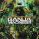 Phuture Assassins ‎– Ganja Madness EP