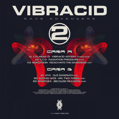 VIBRACID 2 · RAVE ADVENGERS -150 COPIAS LIMITED
