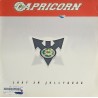 Capricorn – Lost In Jellywood ( 2LP )