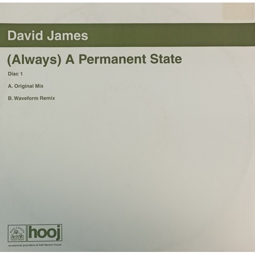 David James – (Always) A Permanent State