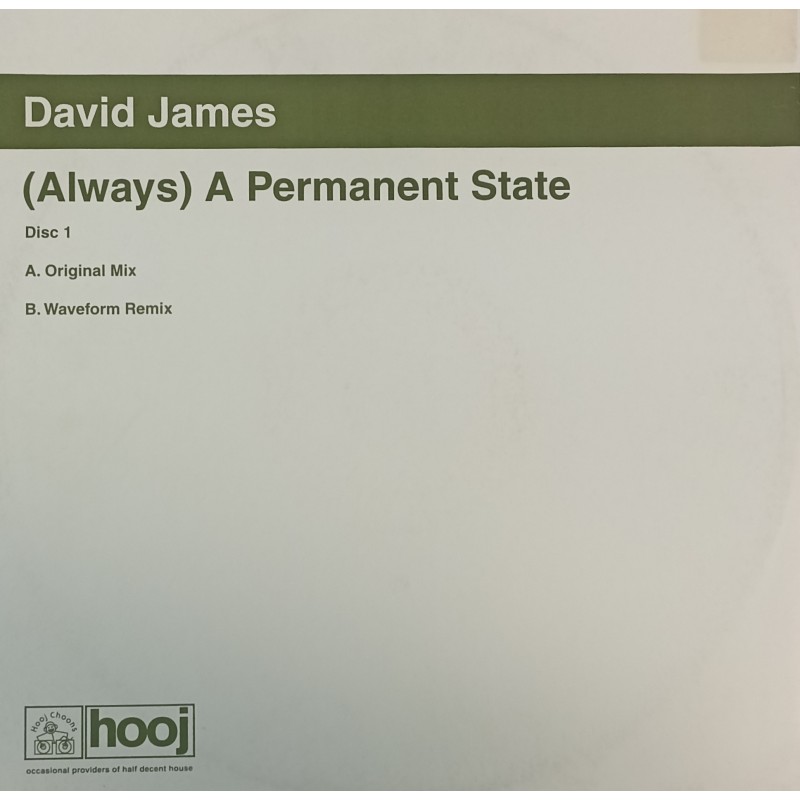 David James – (Always) A Permanent State