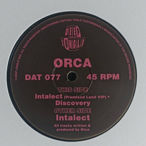 Orca – Intalect / Intalect (Promised Land VIP) / Discovery