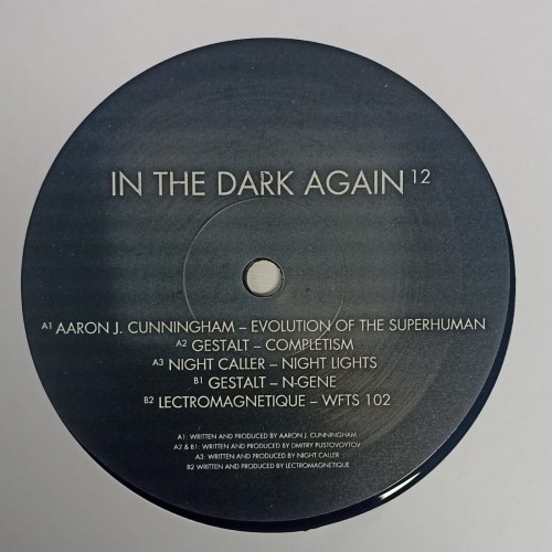 Various – In The Dark Again 12