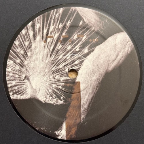 Introversion – Laeddis