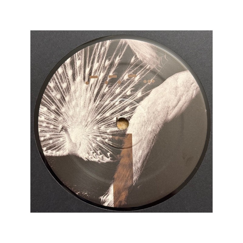 Introversion – Laeddis