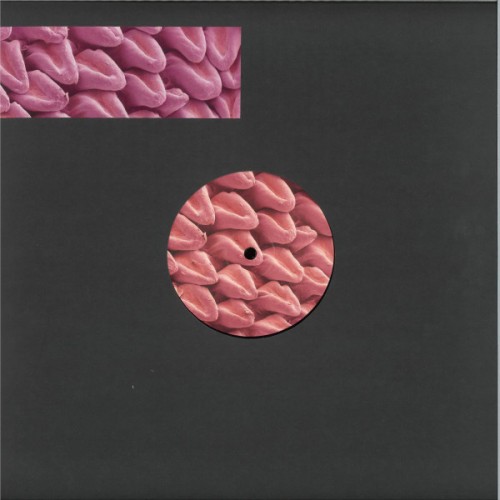 Various – Expansions