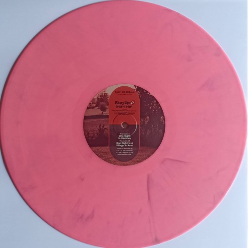 Dynamo City – One Night In Hackney