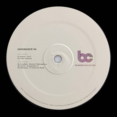 Various – Assonance