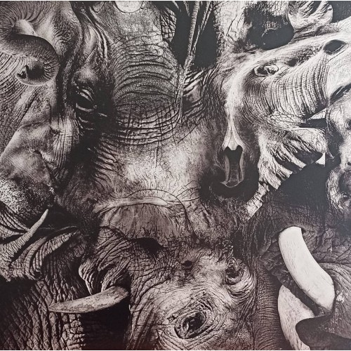 Trontsephore – Elephant EP