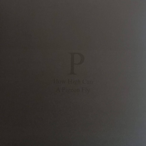 Phara – How High Can A Pigeon Fly