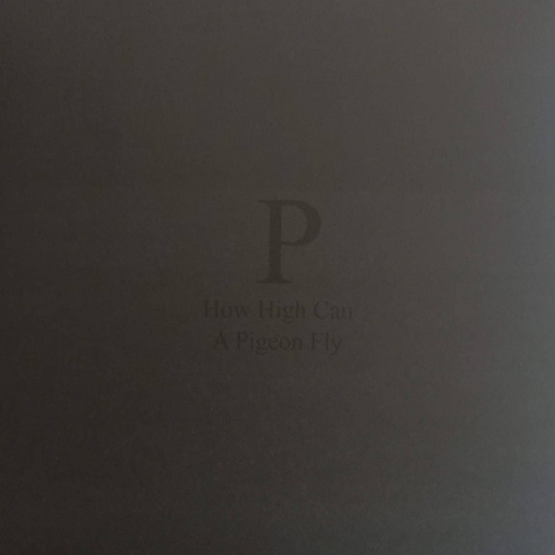 Phara – How High Can A Pigeon Fly