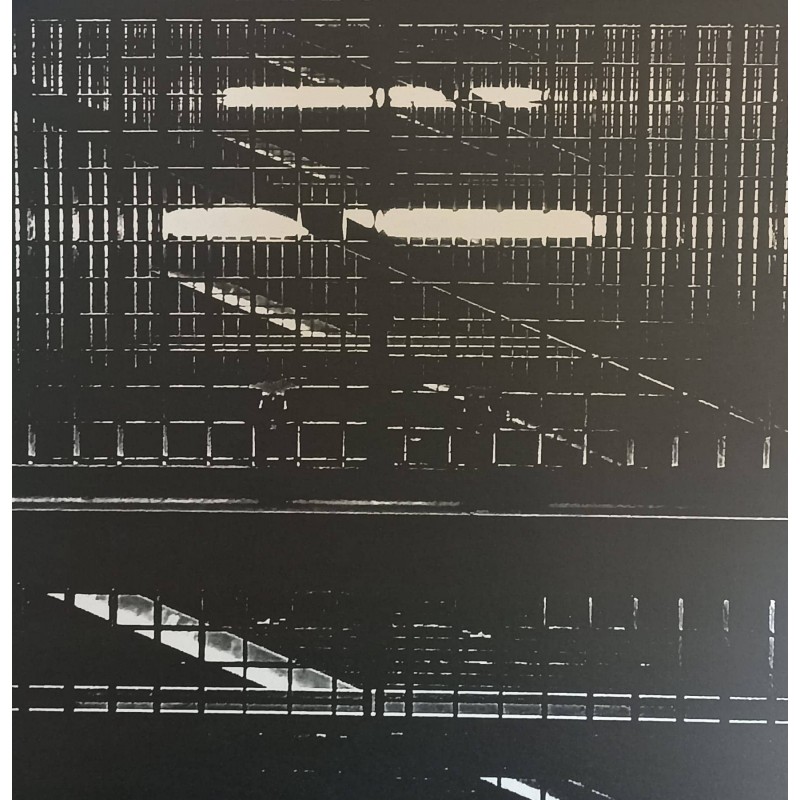 Janein – Kobald M (Green Colored )