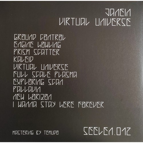 Janein ‎– Virtual Universe ( 2 × Vinyl, 12&quot;, Album )