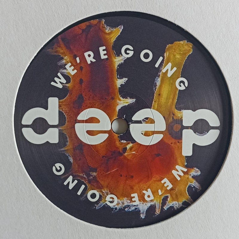 Various Artists: Volume 10