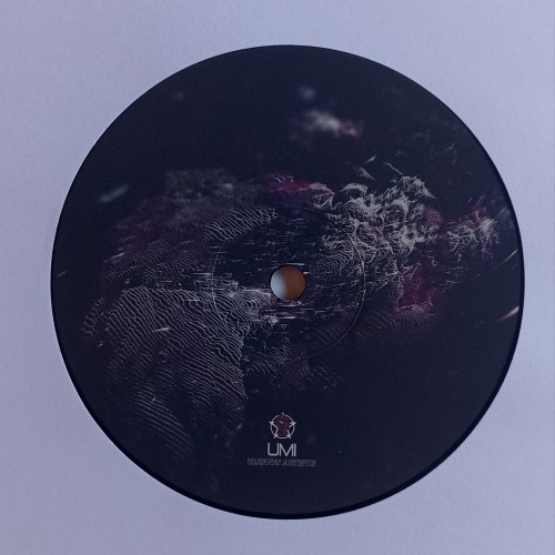 d_func., Vegim, Stanislav Tolkachev, Andrey Detochkin – UMI