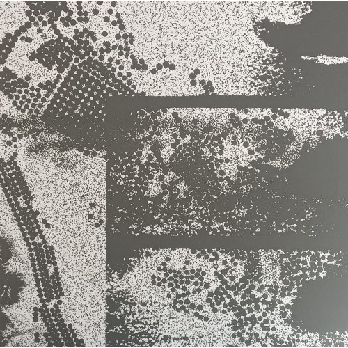 Acidulant – Sonic Expansion