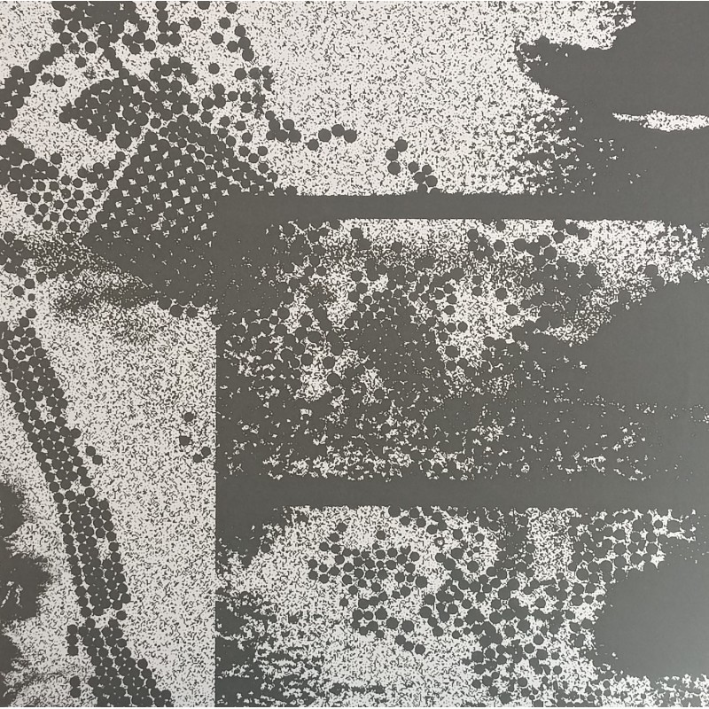 Acidulant – Sonic Expansion