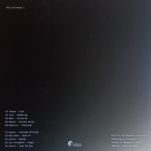 Various – Veil Of Echoes I  (2 x Vinyl)