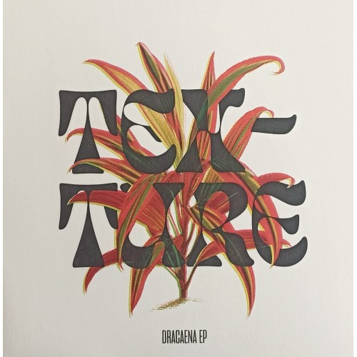 Texture – Dracaena