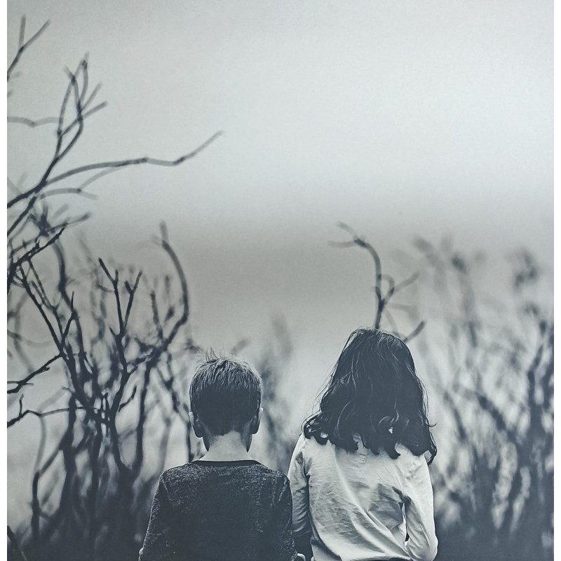 Fixon – Destroyed Landscape