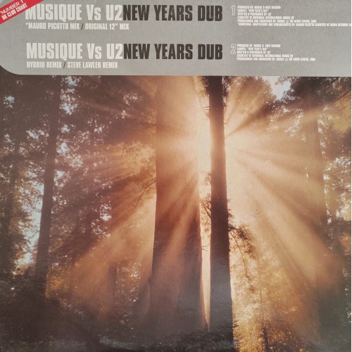 Musique vs. U2 – New Years Dub
