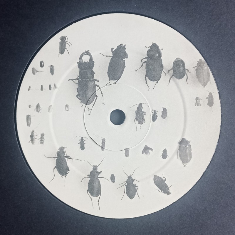 Lewis Fautzi – You Can't Step On the Same Risk Twice