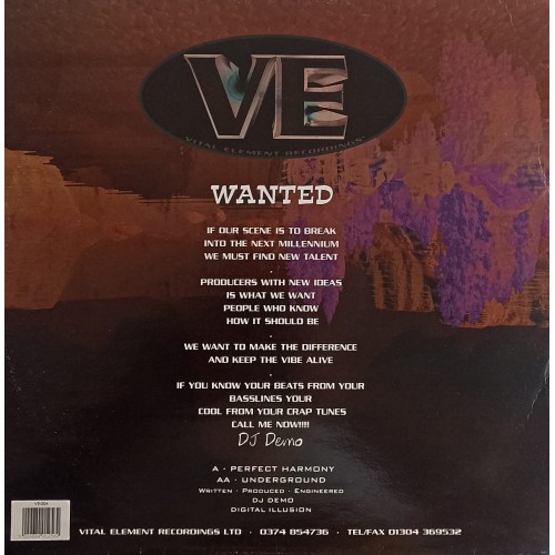 Digital Illusion – Perfect Harmony / Underground