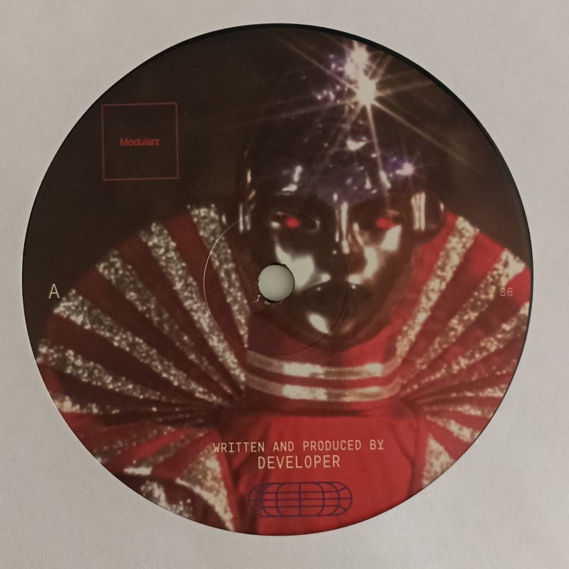 Developer – Panotronix