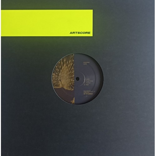 Introversion – Laeddis