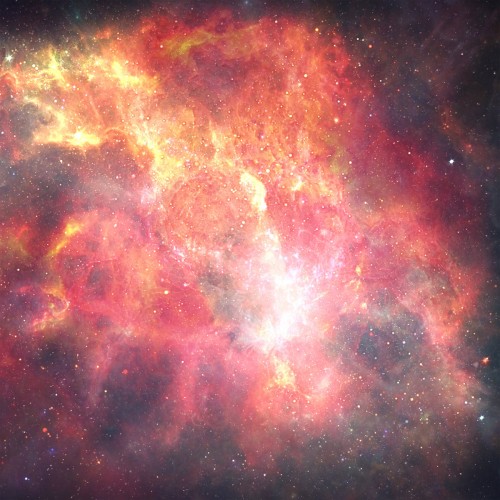 Arctor – Red Spider