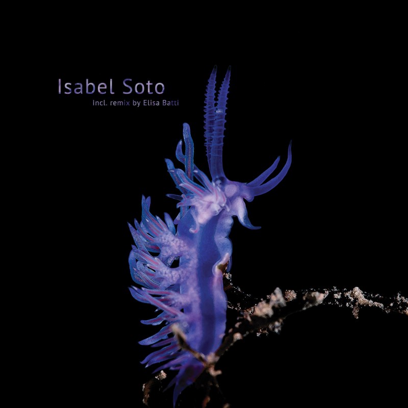 Isabel Soto – Habitat Alteration