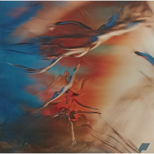 Mata Disk ‎– Lfh/Proxy