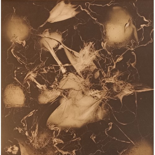 Gamma Intel – E​.​M.