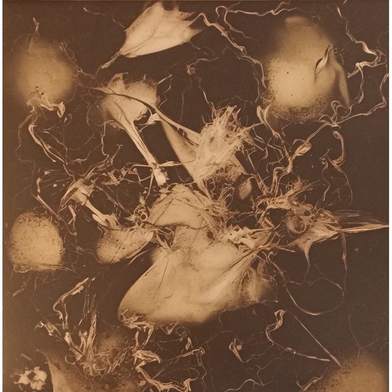 Gamma Intel – E​.​M.